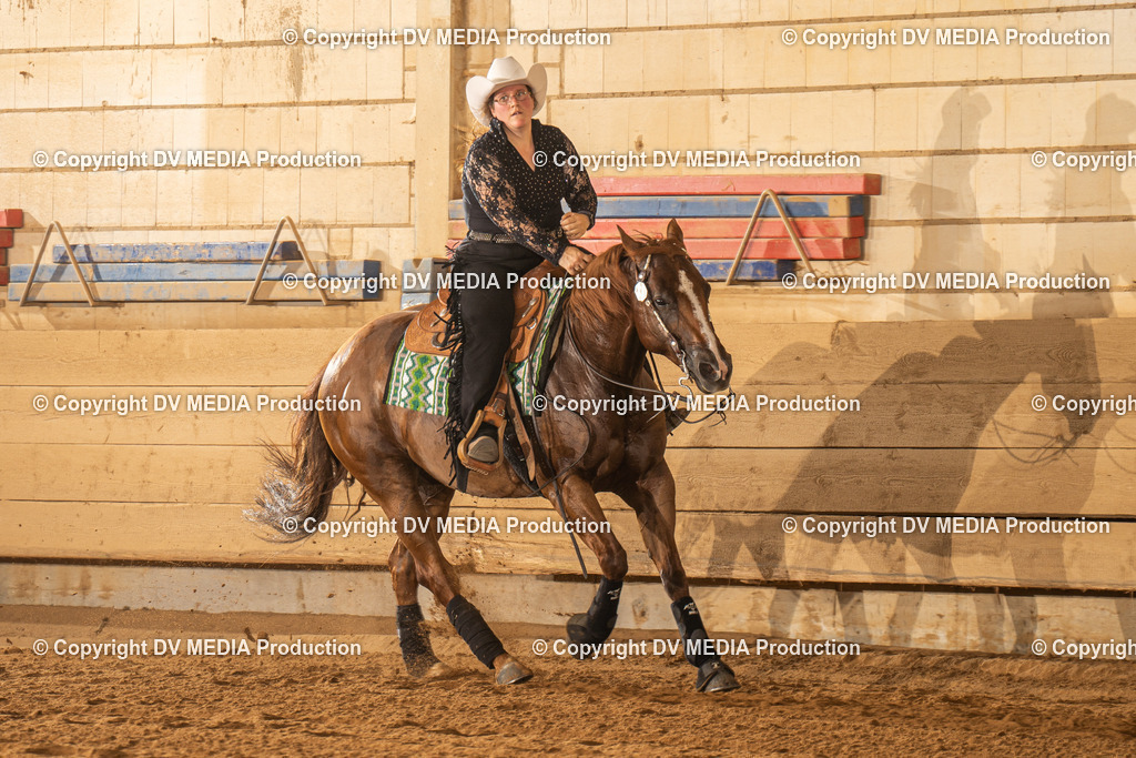 NID02037 | dv-media-shop - Realisiert mit Pictrs.com