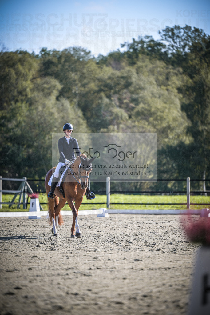 DOS_2705 | Entdecke hochwertige Reitturnierfotos von Foto Oger. Professionell, emotional und authentisch – jetzt Lieblingsmomente im Shop bestellen.Deutschlandweite Turnierfotografie. - Realisiert mit Pictrs.com