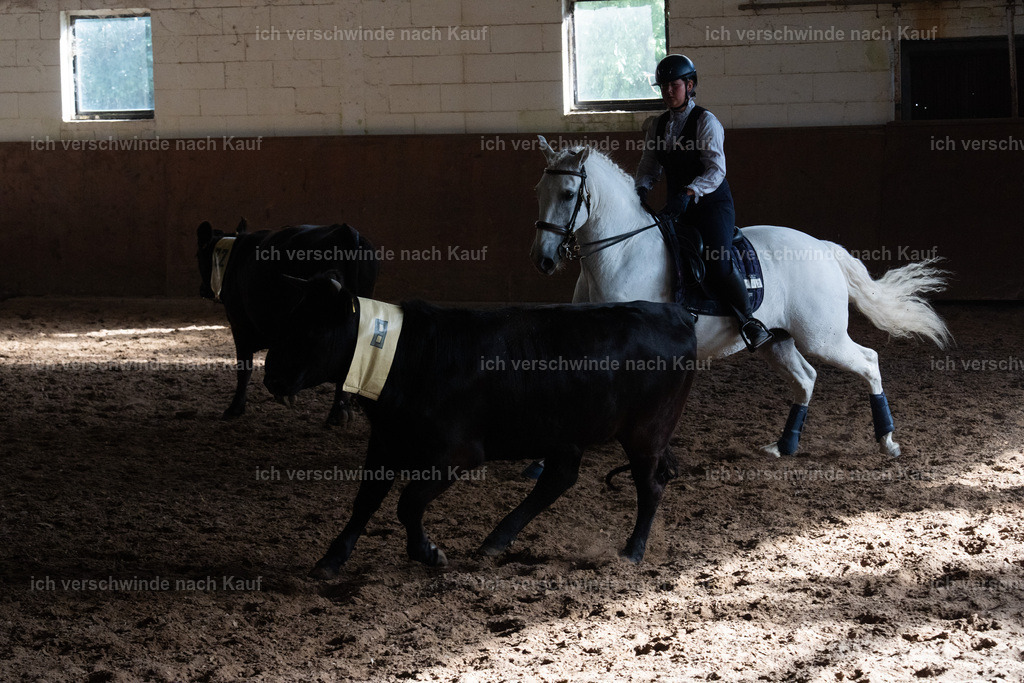 WM_COW_142_SinaFilmArt_IN05139 | working equitationturnier fotograf videograf stoibphotography marixx film working equitation deutschland reitsport turnierfotografie eventfotografie equestrian events