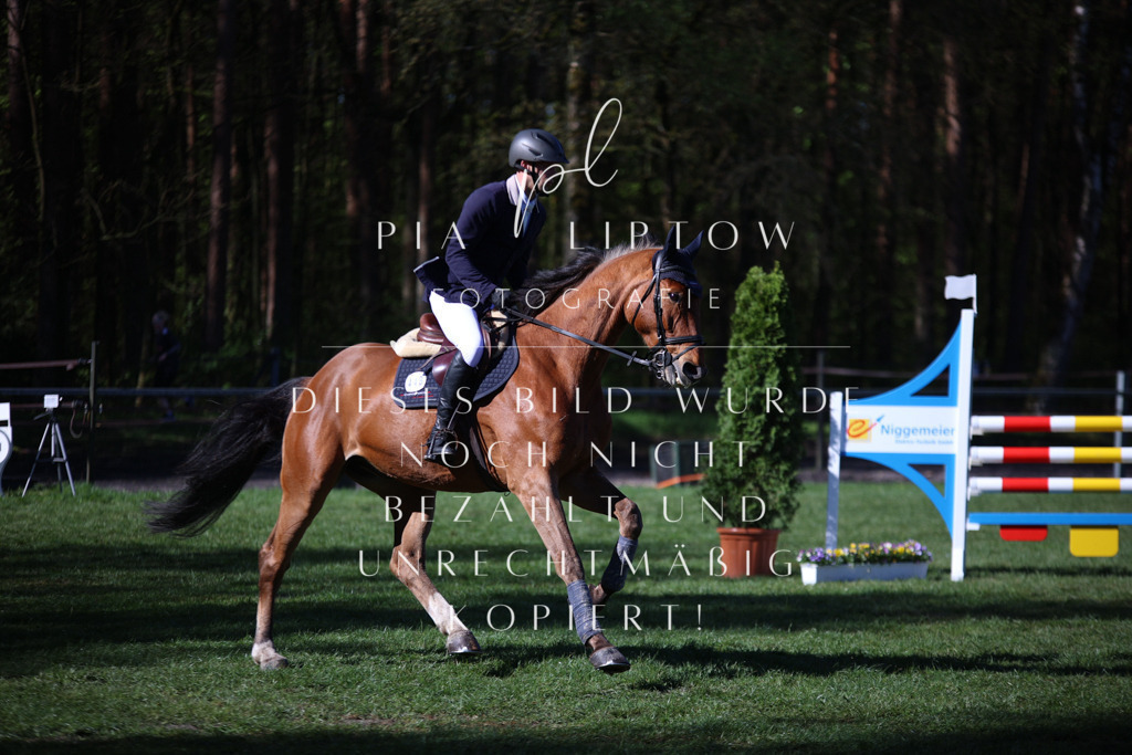 IMGT0205 | pl-fotografie