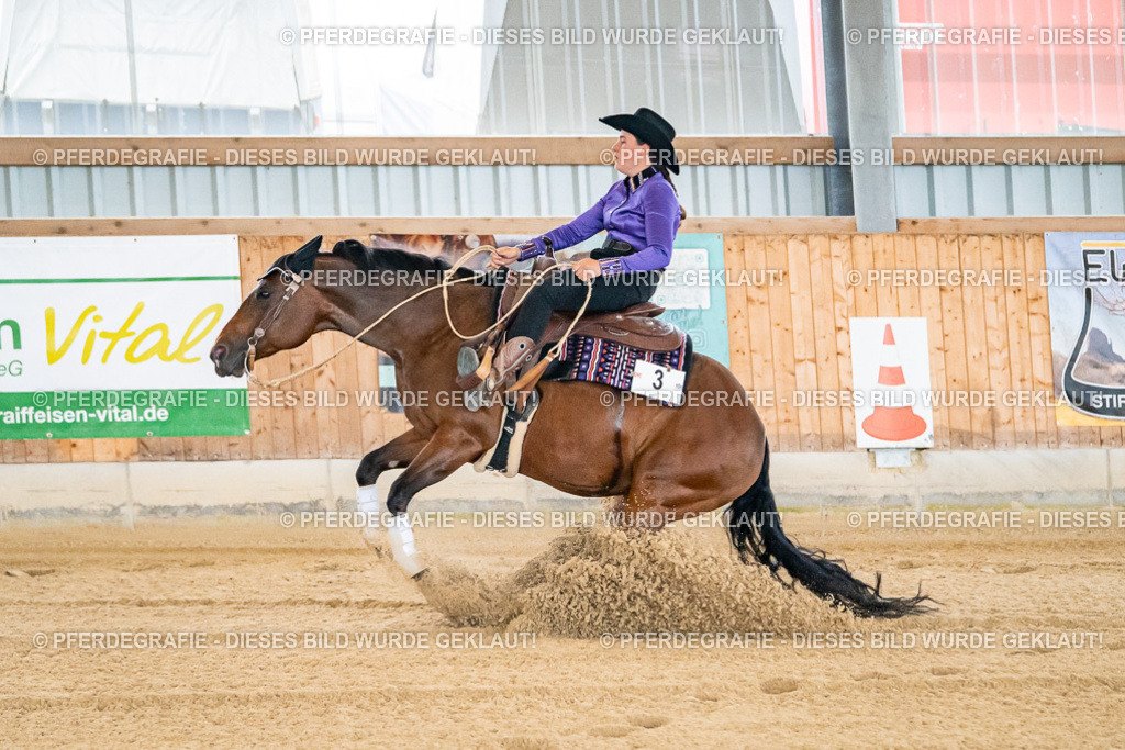 DSC06190 | Pferdegrafie