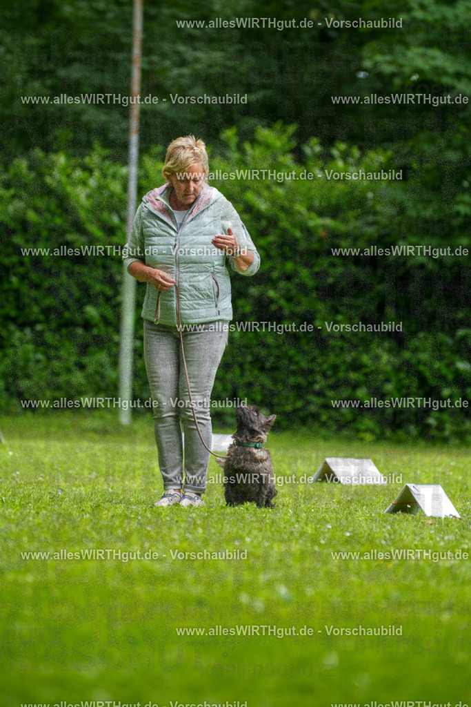 @allesWIRTHgut_Tierfotografie - www.allesWIRTHgut.de - 130021-7R509657 | Professionelle Tierfotografie in Mönchengladbach von Daniel Wirth (allesWIRTHgut). Liebevolle & natürliche Bilder von Hunden & Katzen für unvergessliche Erinnerungen.