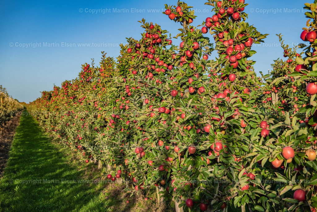 Altes Land Tourismus_ELS_5525061022 | Fotos aus den Touristenorten aus Norddeutschland. - Realisiert mit Pictrs.com