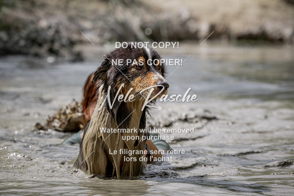 nelerasche_so1030-1100_87 | nelerasche