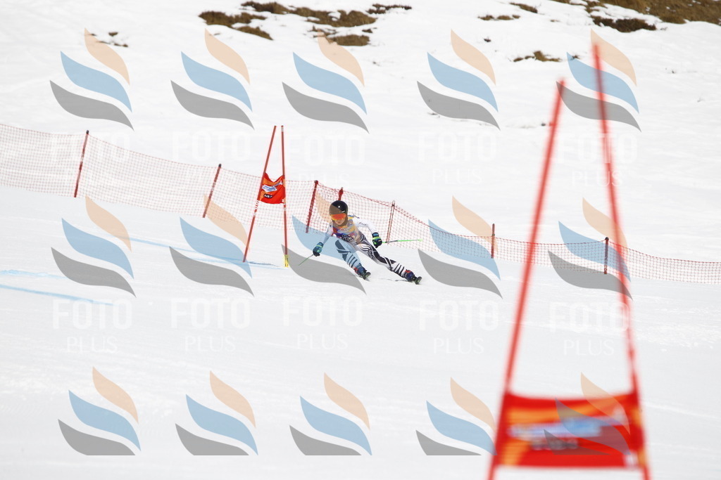 _U3G6376 | holidayphoto