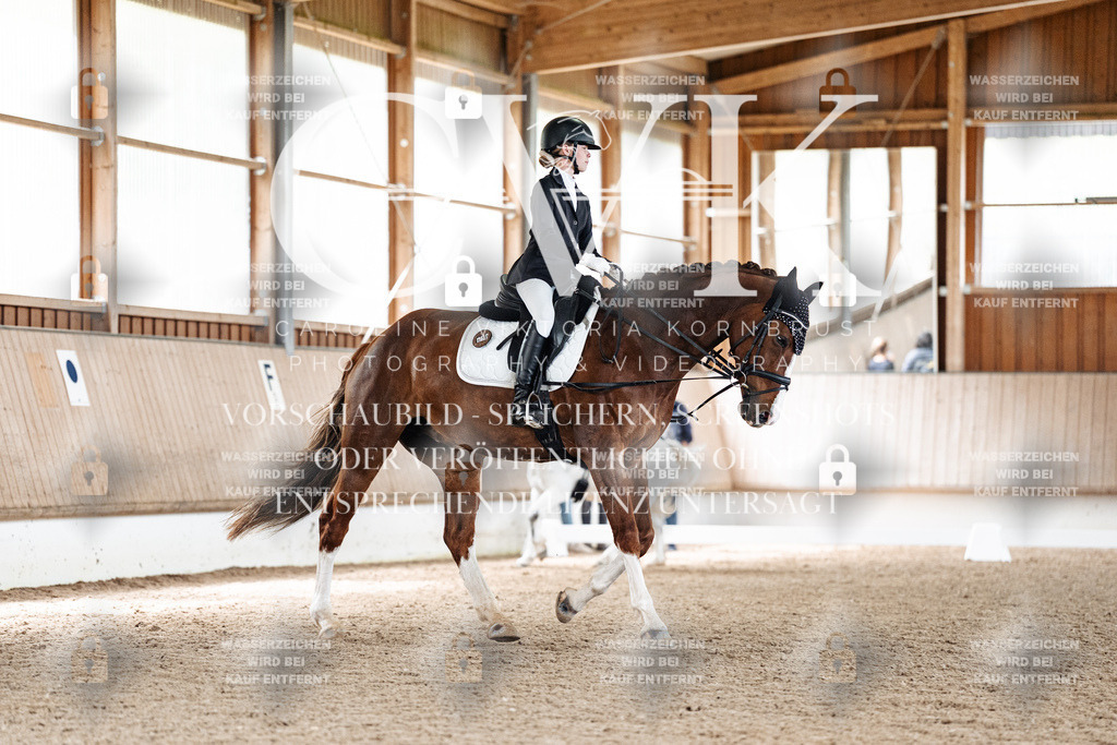 CK900979 | Turnierfotografie Pferdefotografie Trier Rheinland-Pfalz Pferdesport Reitsport Tierfotografie Sportfotografie Pferdevideo Pferdevideografie Equestrianvideography equestrianphotography  - Realisiert mit Pictrs.com