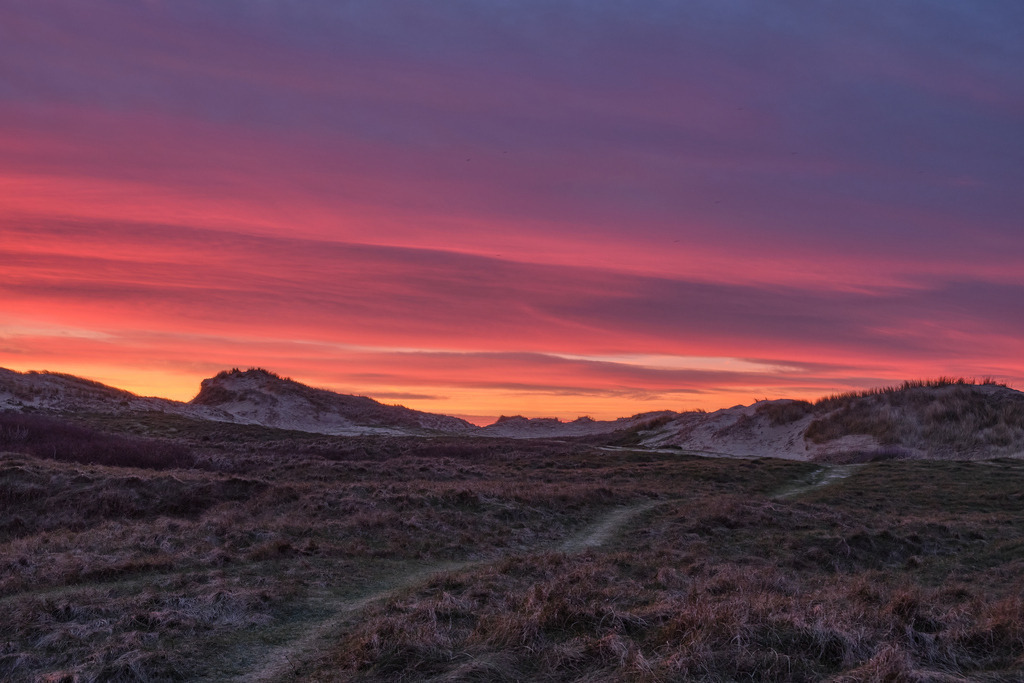 DSCF1983 | Entdecken Sie hochwertige Fotoprodukte für Ihr Zuhause, Büro oder als besonderes Geschenk.rpixel.de bietet Ihnen exklusive Fotografien aus den Bereichen Natur, Landschaft und Motiven vom Meer.Einfach direkt im Online-Shop bestellen. - Realisiert mit Pictrs.com