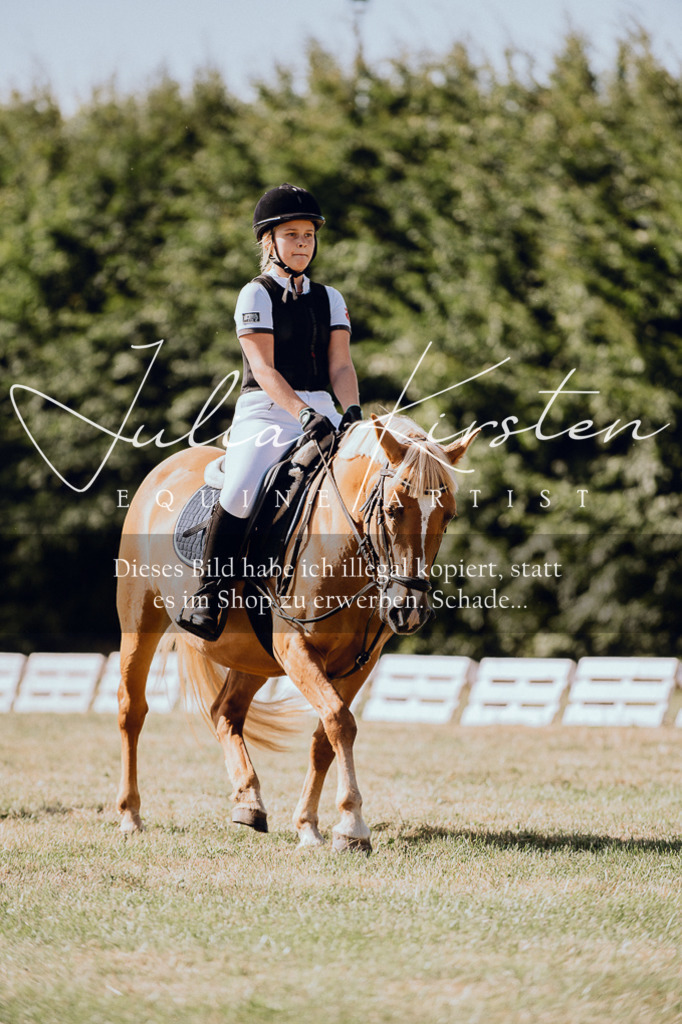 DSC_7103 | Pferde- und Turnierfotografie in Westsachsen. Pferdeportraits, Auftragszeichnungen und intuitive Kunst.