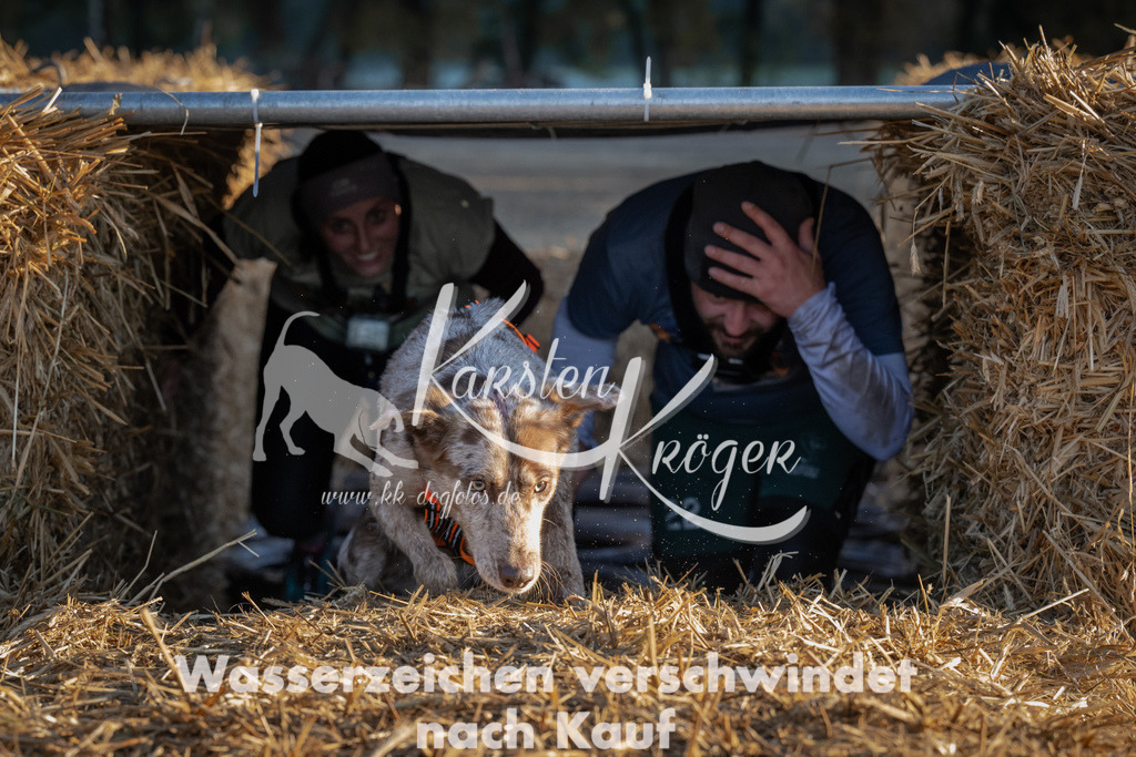 0928_ZZ93093 | kk-dogfotos