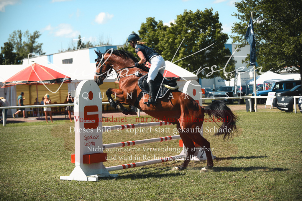 DSC_7047 | Pferde- und Turnierfotografie in Westsachsen. Pferdeportraits, Auftragszeichnungen und intuitive Kunst.