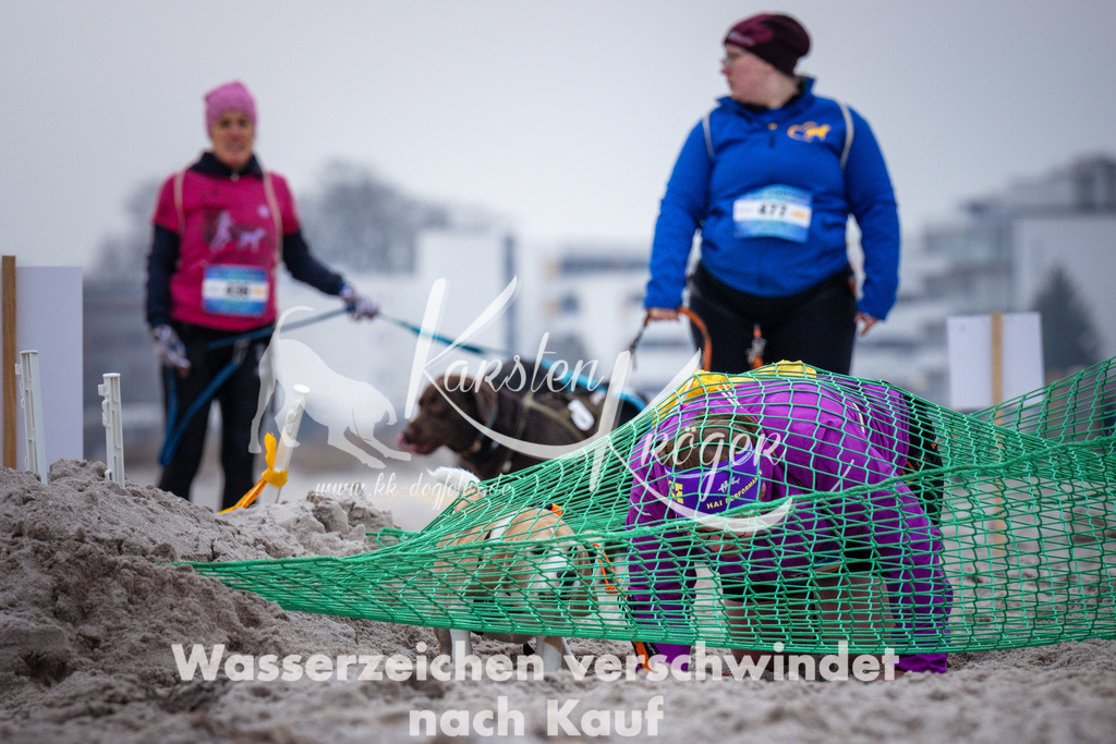 1215_ZZ92999 | kk-dogfotos