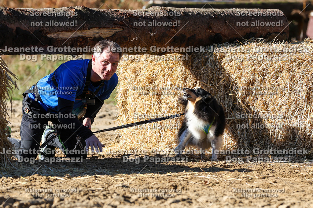 Dog Paparazzi - Strongdog 10-25-2493 | Dog Paparazzi Jeanette Grottendiek Fotografie & Videografie - Realisiert mit Pictrs.com