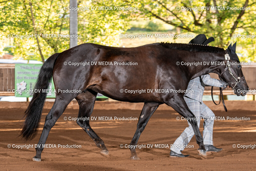 Erbach Tag 3-29 | dv-media-shop - Realisiert mit Pictrs.com