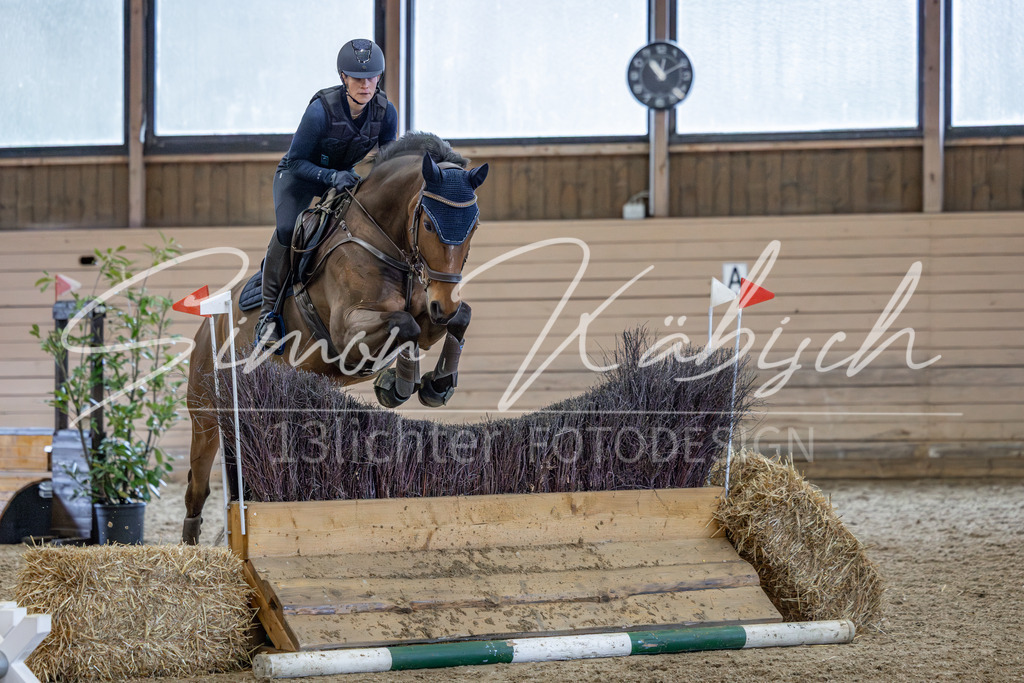 20260222-_3LI2340 | Tierfotografie Pferde, Hunde, Katzen, Haustiere.
Turnierfotografie Reitturniere, Reiten, Springreiten, Dressur in Hanau, dem Main-Kinzig-Kreis und dem Rhein-Main- Gebiet um Frankfurt