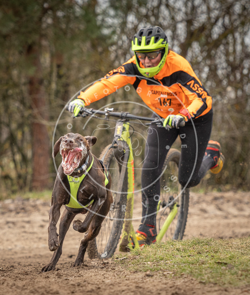 Pfotenfotografie_DV3A9559 | Hundefotografie, Tierfotograf, Pfotenfotografie, Fotoshooting Hund, Hunde Portrait, Hundesport, Hundeportraits, Heideshooting, Hunde, Sportfotograf, Hundefotograf, Turnierhundsport, THS,  - Realisiert mit Pictrs.com