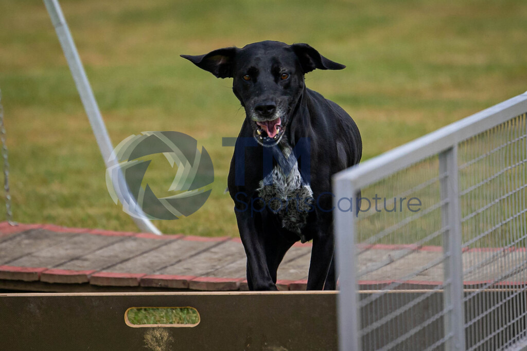 TP-20240815-0050 | Copyright: Trainproduction / Matthias Trinkl