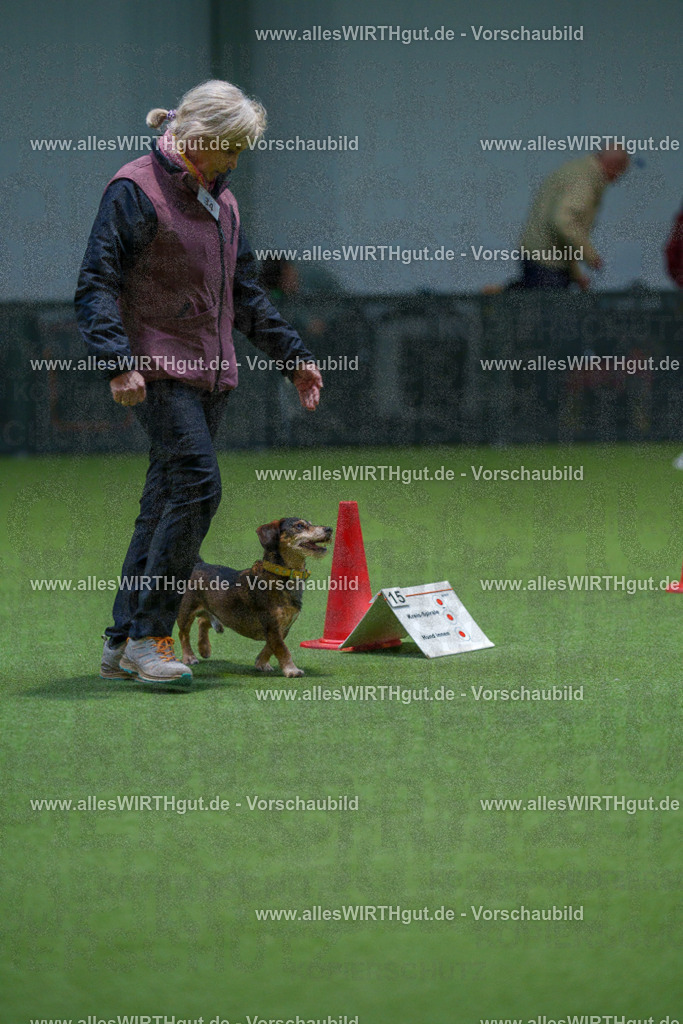 7R505899 | Professionelle Tierfotografie in Mönchengladbach von Daniel Wirth (allesWIRTHgut). Liebevolle & natürliche Bilder von Hunden & Katzen für unvergessliche Erinnerungen.