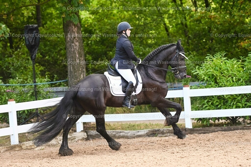 20230716_04_Dressurreiterprüfung Kl.A_0362 | equistock