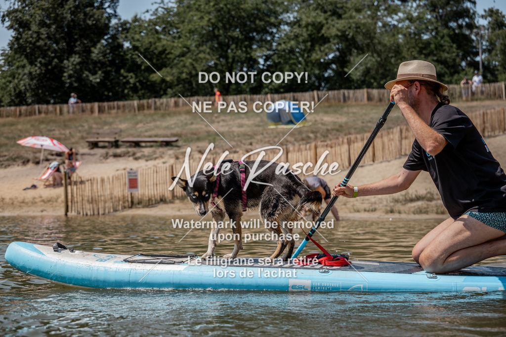nelerasche_saSUP1_178 | nelerasche