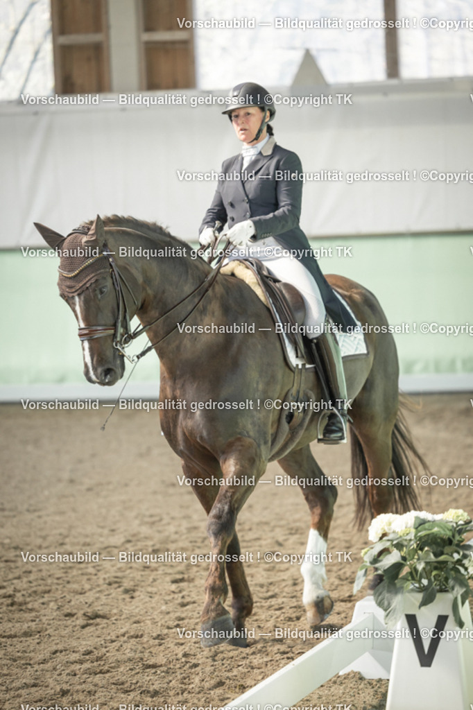 _D5A1818 | Emotionale Pferde- & People-Fotografie rund um Heidelberg, Leimen & Umgebung. Natürliche Fotos von Pferd, Mensch & Familie. Jetzt Termin sichern!