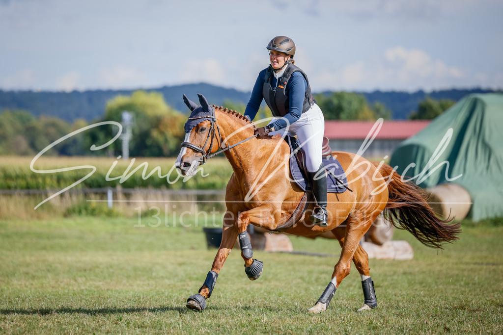 20250905-_3LI1185 | Tierfotografie Pferde, Hunde, Katzen, Haustiere.
Turnierfotografie Reitturniere, Reiten, Springreiten, Dressur in Hanau, dem Main-Kinzig-Kreis und dem Rhein-Main- Gebiet um Frankfurt