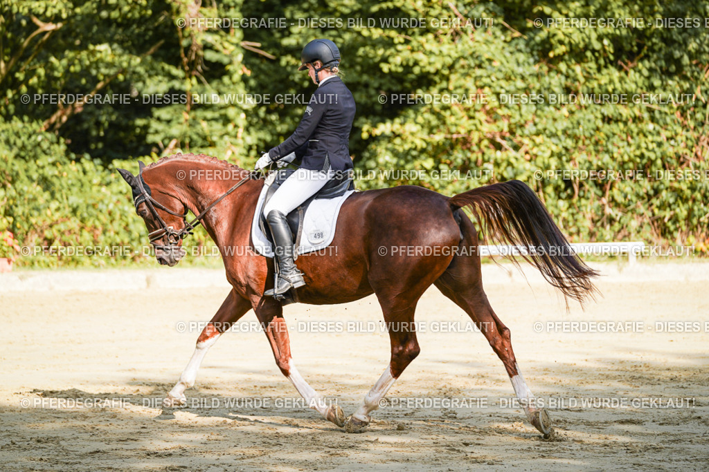 DSC08726 | Pferdegrafie