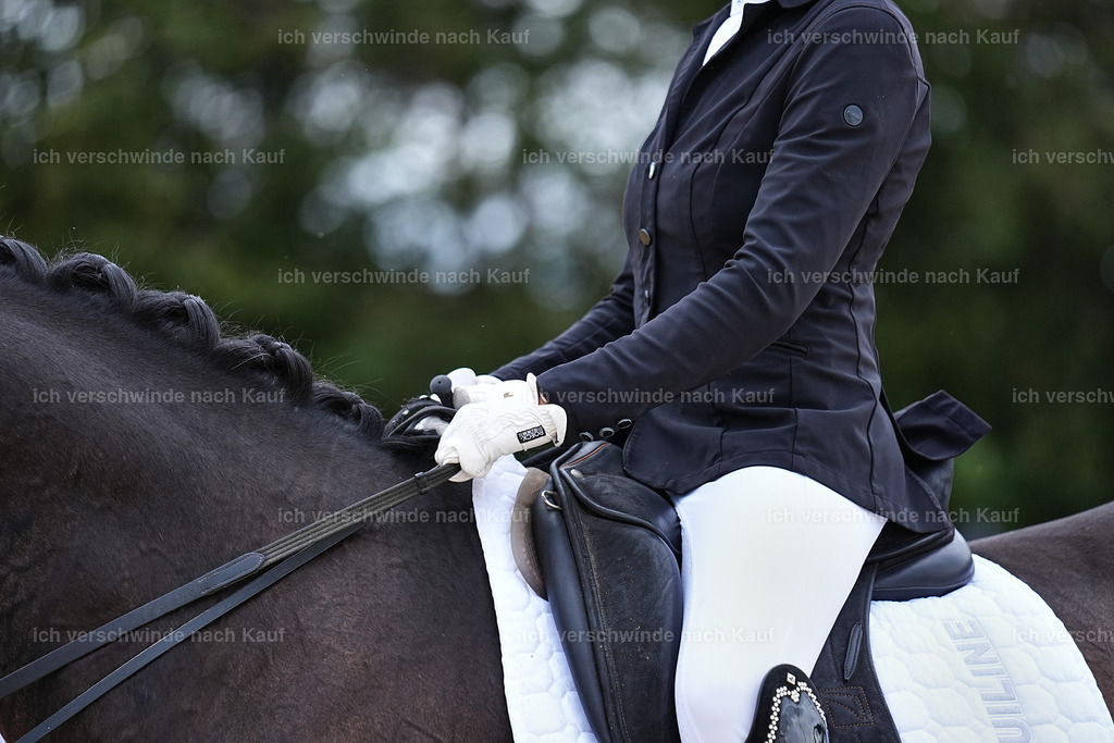 3-224-Dressur M_-Marixx-2021 | working equitationturnier fotograf videograf stoibphotography marixx film working equitation deutschland reitsport turnierfotografie eventfotografie equestrian events