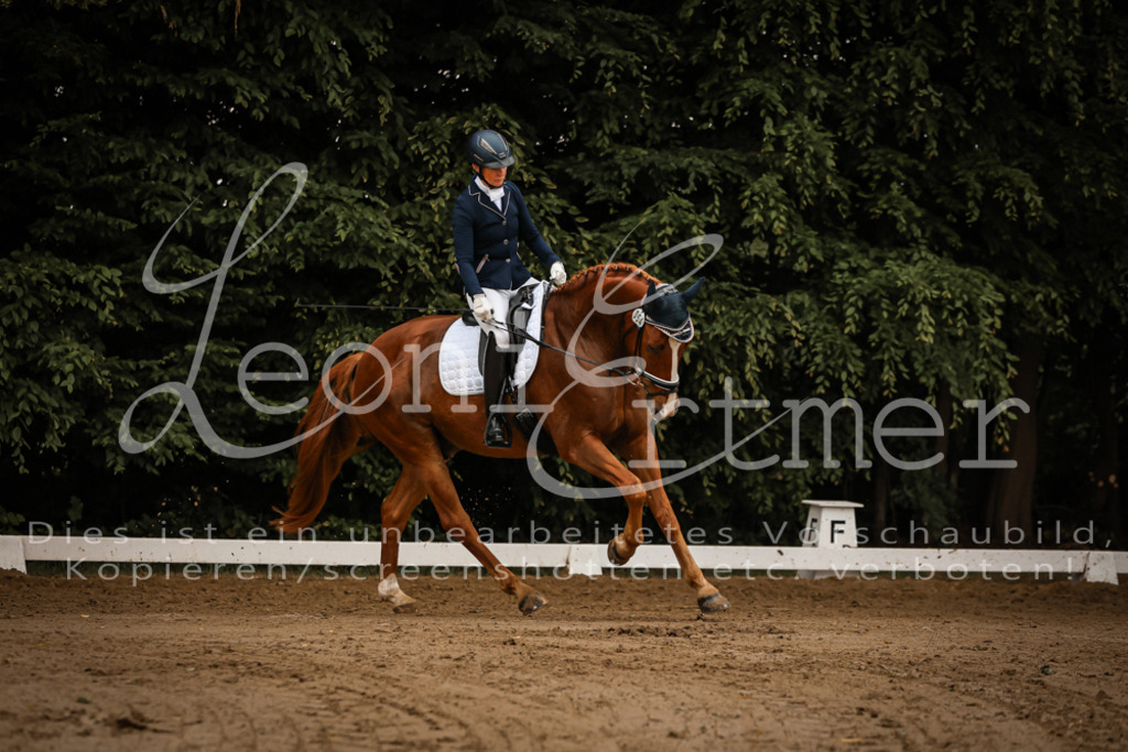 17.SoDrL00199 | Leoni Ertmer Photography - Realisiert mit Pictrs.com