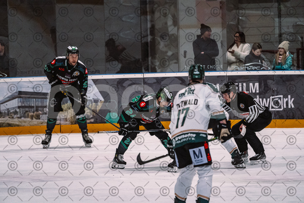 Alligators_vs_Erding_01_02_2026-14 | Höchstadt Alligators Fotogalerie: Eishockey-Action aus Franken. Professionelle Spielfotos, Portraits & Stadionbilder zum Download. Jetzt entdecken! - Realisiert mit Pictrs.com