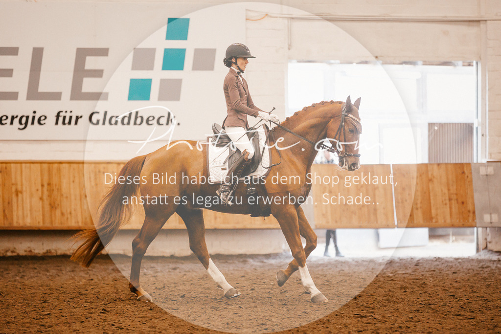 3I6A1668 | Stimmungsvolle Portraits und Reitsportfotografie im Ruhrgebiet und im Münsterland.

Pferdefotografie, Hundefotografie, Tierfotografie, Reportagen, Portraits von Tier und Mensch, Turnierfotografie in Bochum, Recklinghausen, Marl, Haltern am See, Dülmen.. - Realisiert mit Pictrs.com