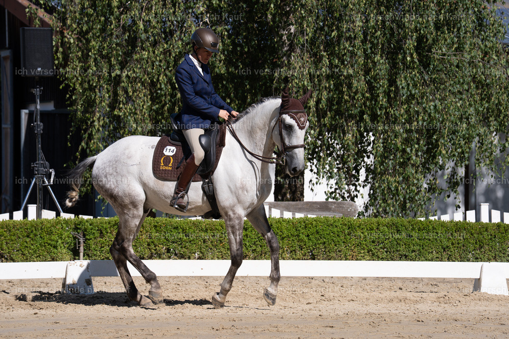 WL_DR_114_sinafilmart_IN06622 | working equitationturnier fotograf videograf stoibphotography marixx film working equitation deutschland reitsport turnierfotografie eventfotografie equestrian events