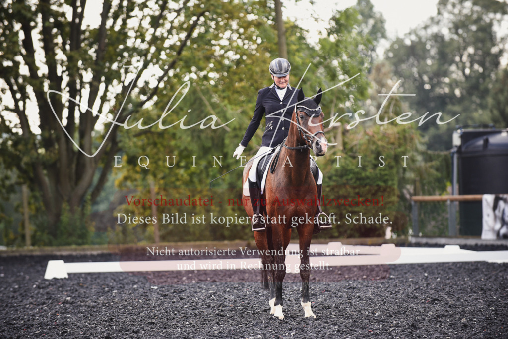 DSC_4019 | Pferde- und Turnierfotografie in Westsachsen. Pferdeportraits, Auftragszeichnungen und intuitive Kunst.