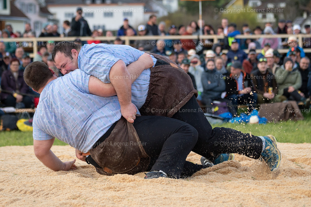 Schwingen -  Rheintal-Oberländer 2023 | Altstätten, 2.4.23, Schwingen - Rheintal-Oberländer.