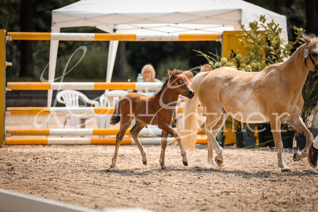 04.DoWP00070 | Leoni Ertmer Photography - Realisiert mit Pictrs.com