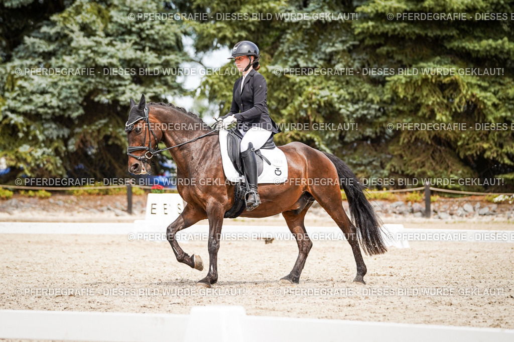 DSC04096 | Pferdegrafie