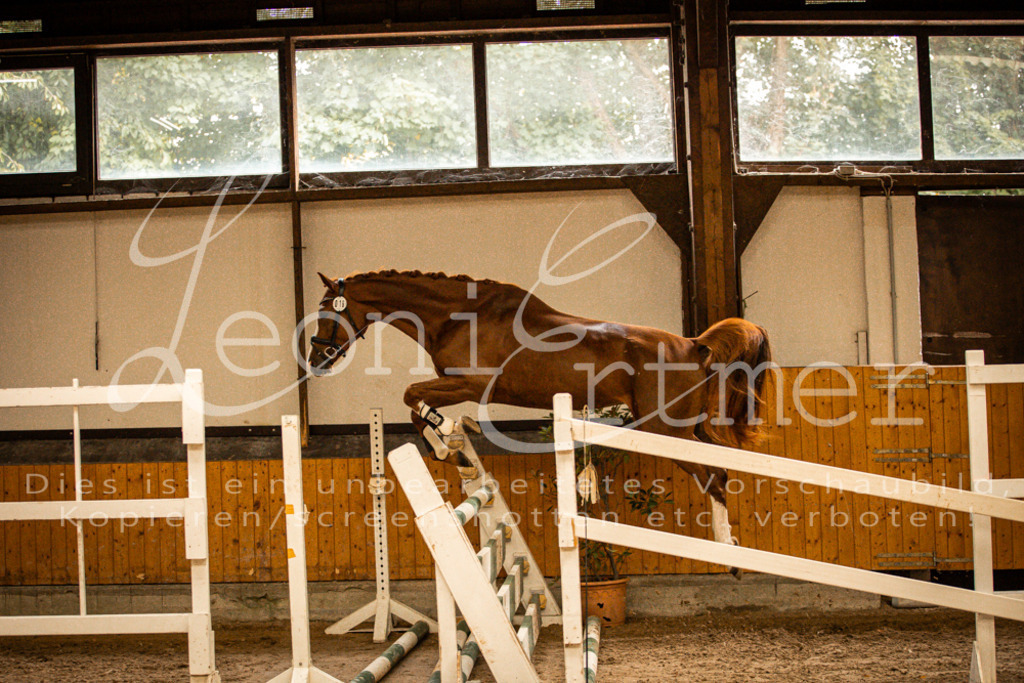 2FS_L00092 | Leoni Ertmer Photography - Realisiert mit Pictrs.com