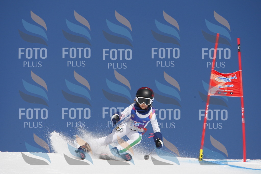 _W1G1085 | holidayphoto