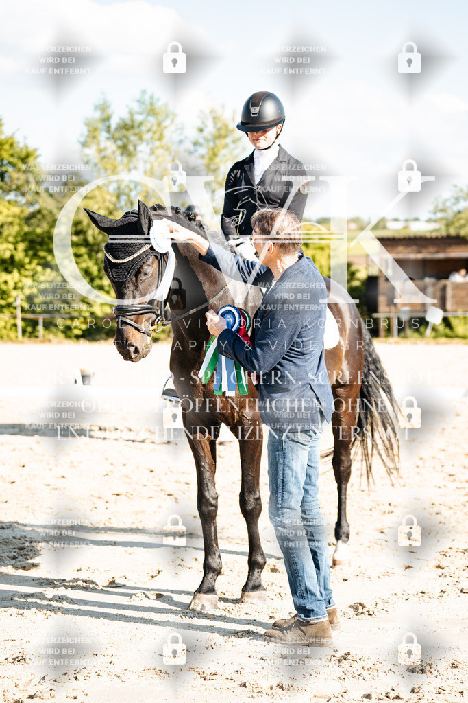 CK703580 | Turnierfotografie Pferdefotografie Trier Rheinland-Pfalz Pferdesport Reitsport Tierfotografie Sportfotografie Pferdevideo Pferdevideografie Equestrianvideography equestrianphotography  - Realisiert mit Pictrs.com