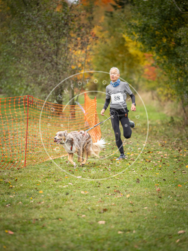 Pfotenfotografie_DV3A3220 | Hundefotografie, Tierfotograf, Pfotenfotografie, Fotoshooting Hund, Hunde Portrait, Hundesport, Hundeportraits, Heideshooting, Hunde, Sportfotograf, Hundefotograf, Turnierhundsport, THS,  - Realisiert mit Pictrs.com