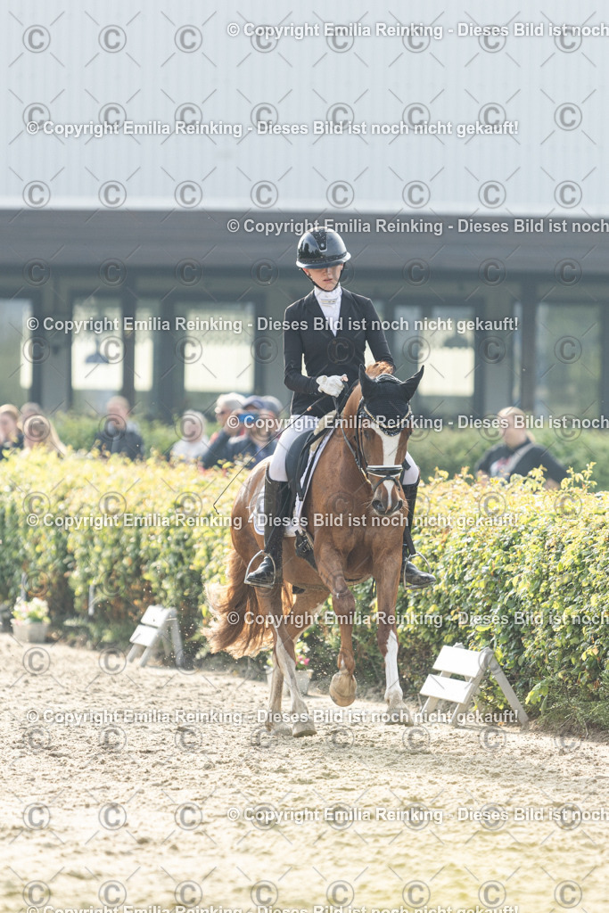 CL5A3596 | Emilia Reinking Fotografie - Realisiert mit Pictrs.com