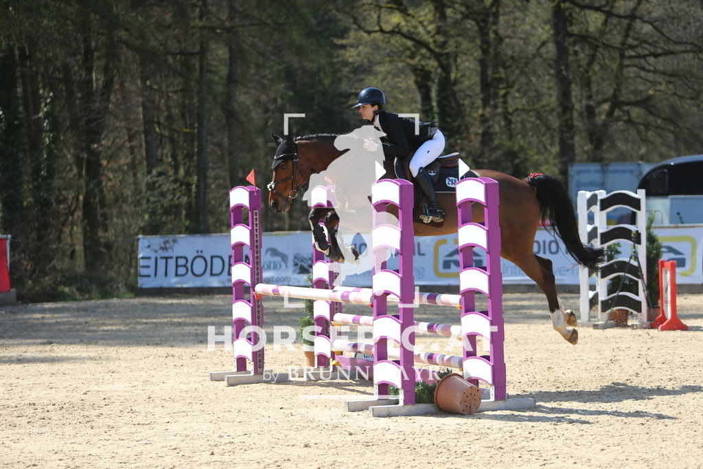 DL2Q0205 | Willkommen bei Brunnmayr - Design & Fotografie – Ihrem Spezialisten für Reitturniere und Pferdeveranstaltungen in Oberösterreich, Salzburg und Bayern! Seit über 17 Jahren sind wir leidenschaftlich dabei.