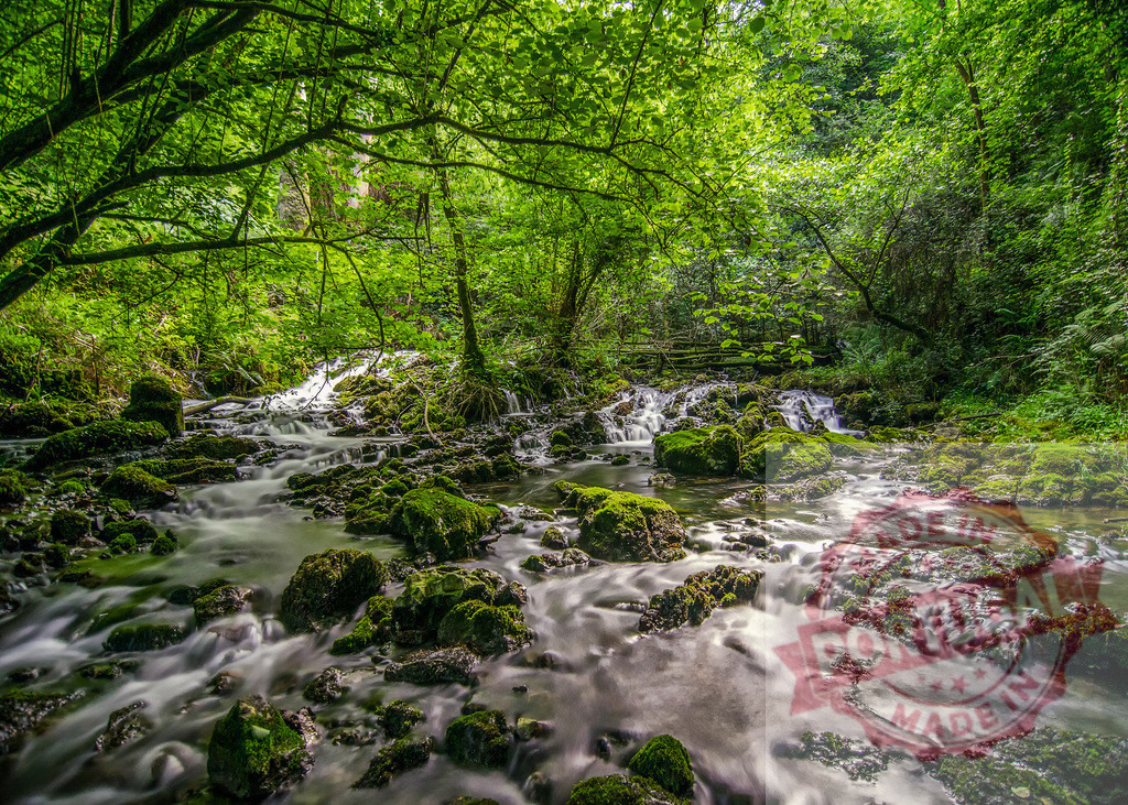 Refreshing stream flowing through mossy rocks in green forest | Long exposure of a refreshing stream flowing through mossy rocks in a green forest, creating a peaceful and natural scene - Realized with Pictrs.com