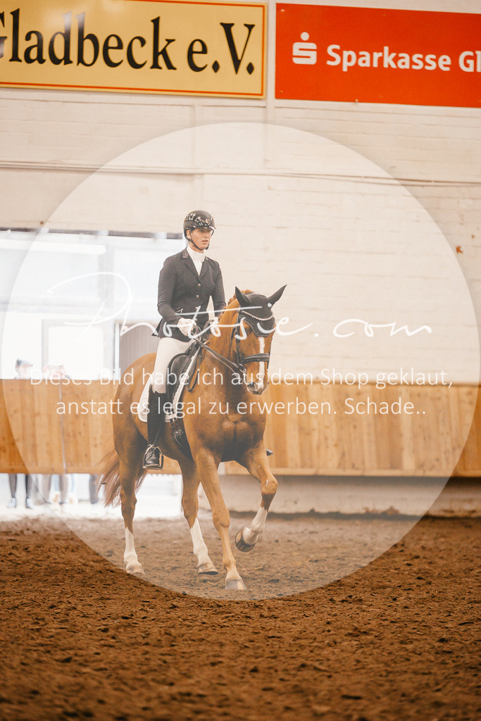 3I6A2637 | Stimmungsvolle Portraits und Reitsportfotografie im Ruhrgebiet und im Münsterland.

Pferdefotografie, Hundefotografie, Tierfotografie, Reportagen, Portraits von Tier und Mensch, Turnierfotografie in Bochum, Recklinghausen, Marl, Haltern am See, Dülmen.. - Realisiert mit Pictrs.com
