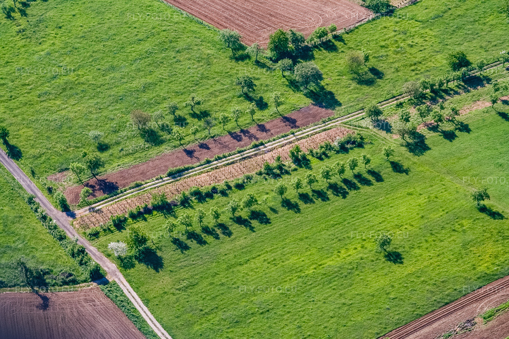 Vue aérienne: Verger de la rue des Quatre Vents à Dieffenbach-lès-Wœrth dans le département Bas Rhin, France – .Photo: IMG_10818.jpg prise le 12/05/2008 par Werner Riehm/FLY-FOTO.eu – Résolution de l'original: 3456 x 2304 px