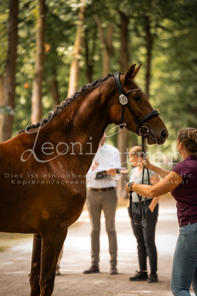 FrPfM00267 | Leoni Ertmer Photography - Realisiert mit Pictrs.com