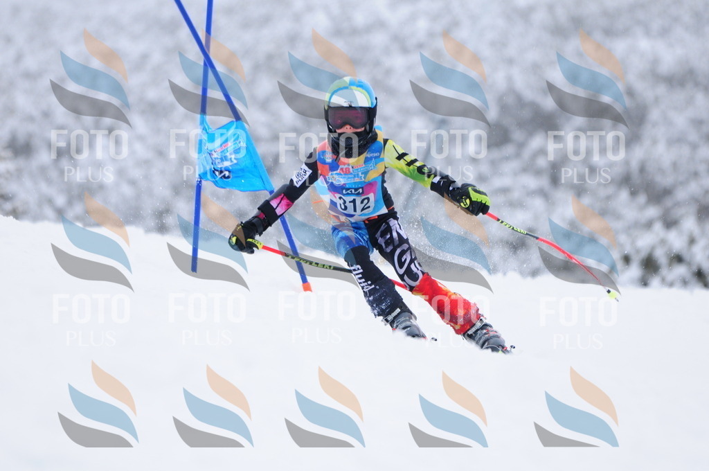 C3305 | holidayphoto