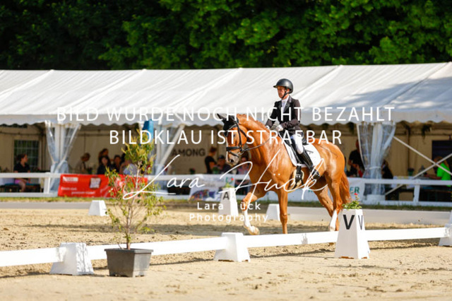 _62_2471 | larahueckfotografie