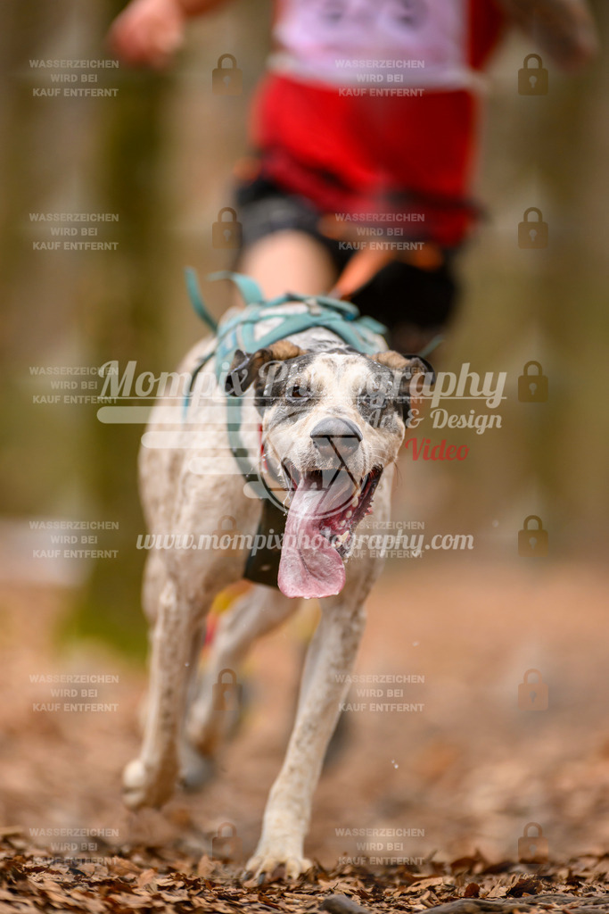 MompixPhotography_Habay2025_SA_CCC-47 | PayLife