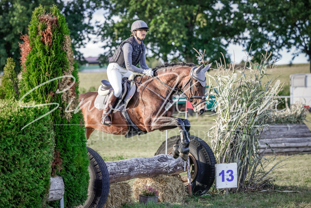 20250906-_3LI7868 | Tierfotografie Pferde, Hunde, Katzen, Haustiere.
Turnierfotografie Reitturniere, Reiten, Springreiten, Dressur in Hanau, dem Main-Kinzig-Kreis und dem Rhein-Main- Gebiet um Frankfurt