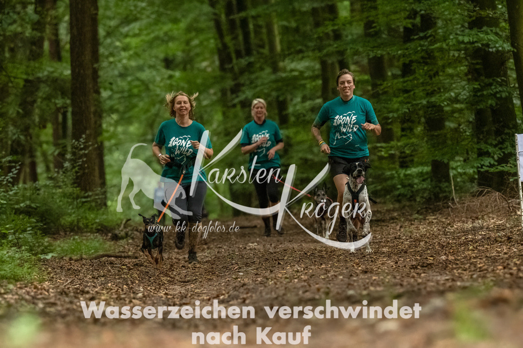 1235_ZZ91232-Bearbeitet-2 | kk-dogfotos